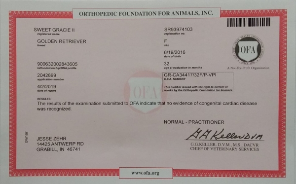 Gracie No Congenital Cardiac Disease Gracie No Congenital Cardiac Disease