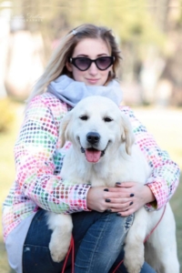 English Cream Golden Retrievers bred by Pristine English Creams English Cream Golden Retrievers bred by Pristine English Creams