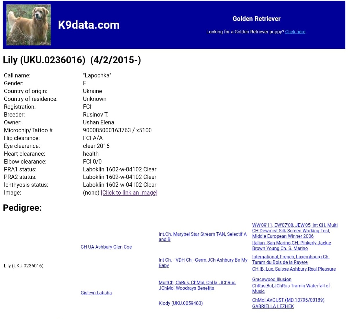 Lily’s Pedigree Lily's Pedigree