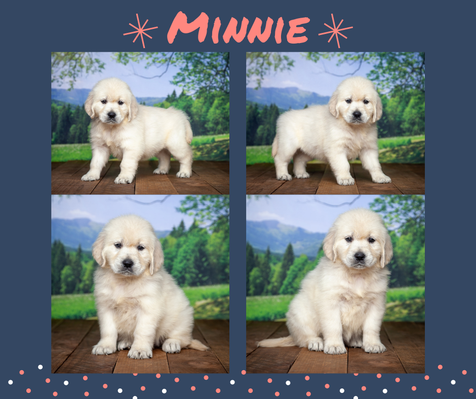 Minnie by Izum & Sunny March 20, 2021
